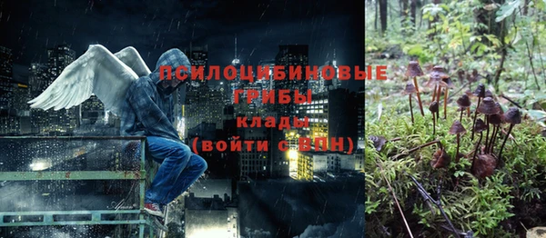прущая мука Богданович