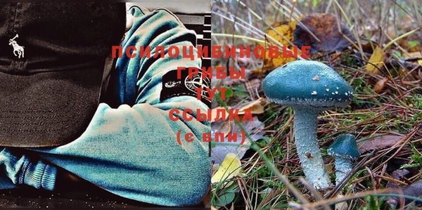 а пвп мука Бугульма