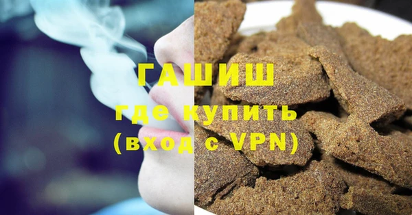 МДПВ Бородино
