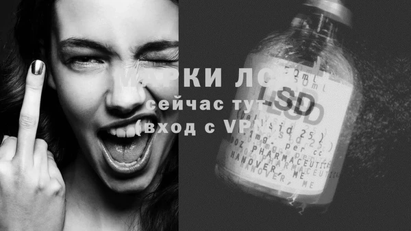 сатива Алагир