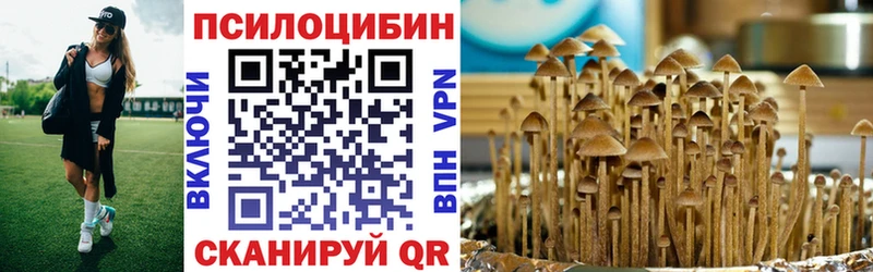 закладки  Дигора  Псилоцибиновые грибы Cubensis 