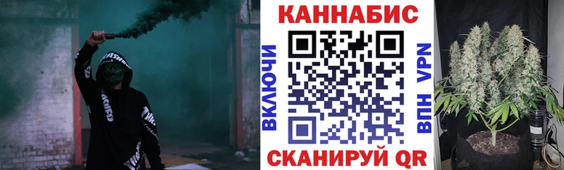 Конопля планчик Дигора